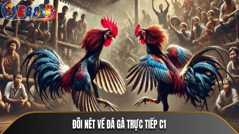 Cách thực hiện đá gà trực tiếp c1 tại e88